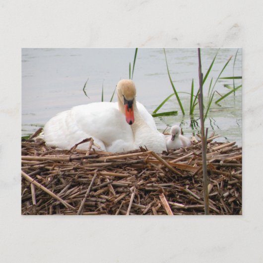 ママと私(2)はがき ポストカード (正面)