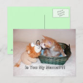 ママなの??!!ポストカード ポストカード (正面/裏面)