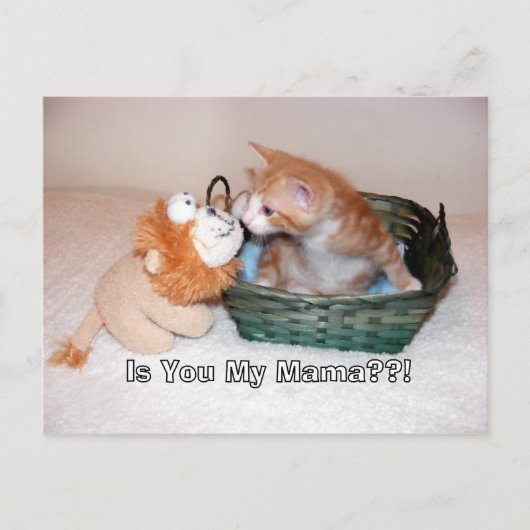 ママなの??!!ポストカード ポストカード (正面)