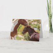 ママのキス カード (正面)