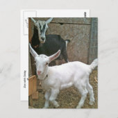 ママのゾーイと赤ちゃんデイジーのポストカード ポストカード (正面/裏面)