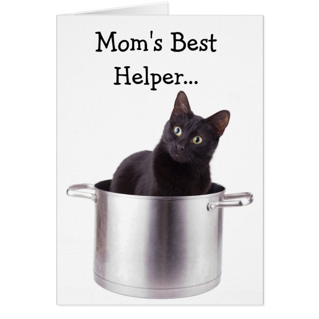 ママの最高の助手… (正面)