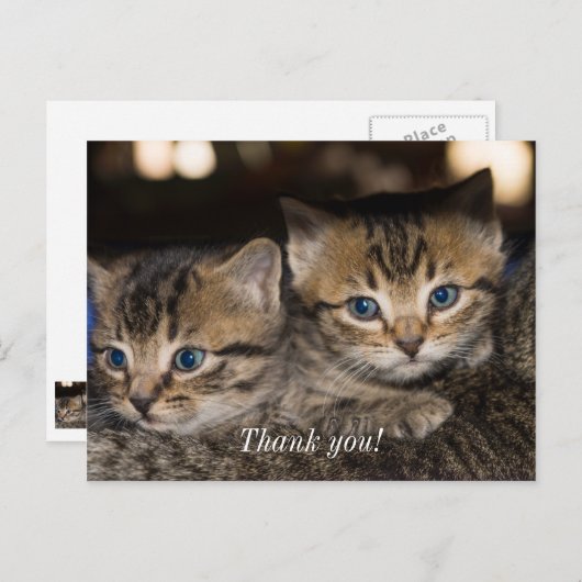 ママの背中での感謝の気持ちのポストカード ポストカード (正面/裏面)