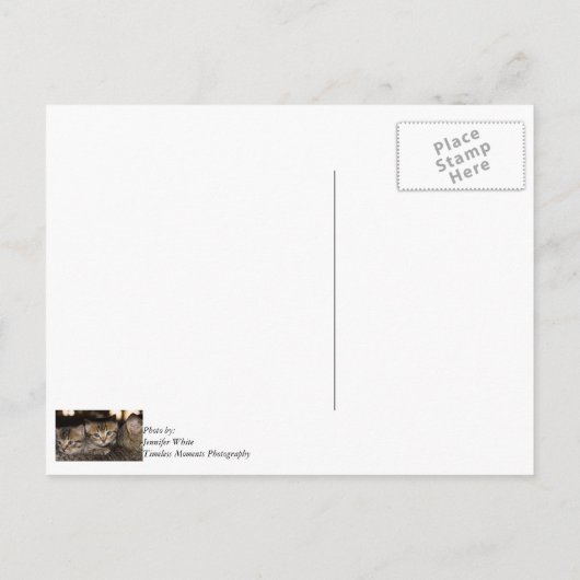 ママの背中での感謝の気持ちのポストカード ポストカード (裏面)