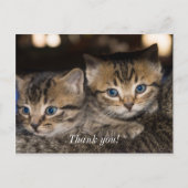 ママの背中での感謝の気持ちのポストカード ポストカード (正面)