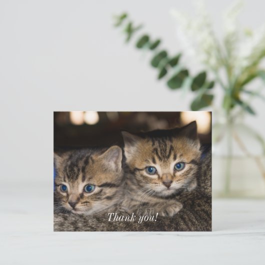 ママの背中での感謝の気持ちのポストカード ポストカード (スタンド正面)