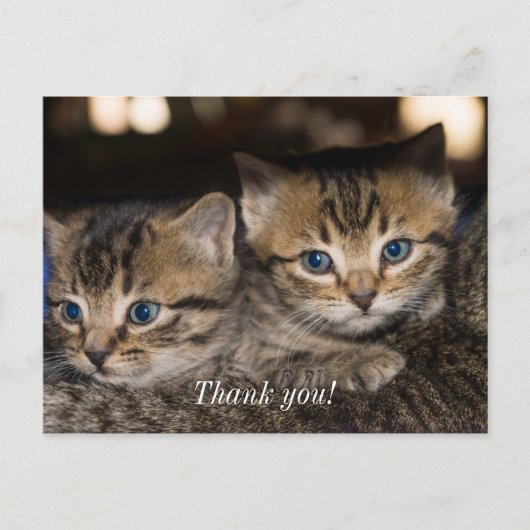 ママの背中におすわり サンクス ポストカード (正面)