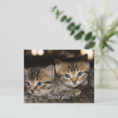 ママの背中におすわり サンクス ポストカード (スタンド正面)