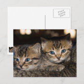 ママの背面はがき ポストカード (正面/裏面)