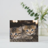 ママの背面はがき ポストカード (スタンド正面)