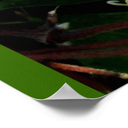 ママの花園 ポスター (角)