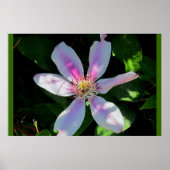 ママの花園 ポスター (正面)