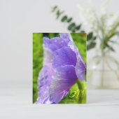 ママの花 ポストカード (スタンド正面)