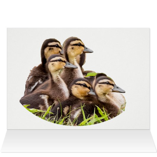 ママはどこ？ (内部横(上))