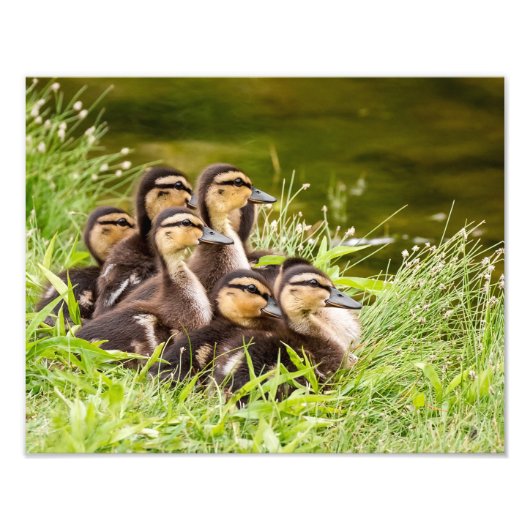 ママはどこ？ フォトプリント            (正面)