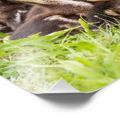 ママはどこ？ フォトプリント            (角)