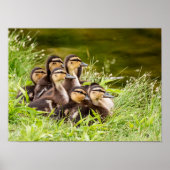 ママはどこ？ ポスター (正面)