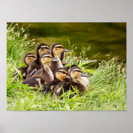 ママはどこ？ ポスター