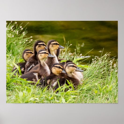 ママはどこ？ ポスター (正面)