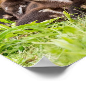 ママはどこ？ ポスター (角)