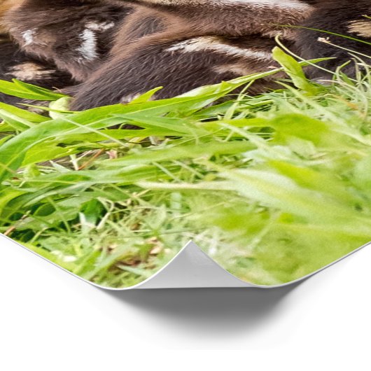 ママはどこ？ ポスター (角)