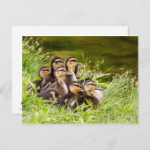 ママはどこ？ ポストカード (正面/裏面)