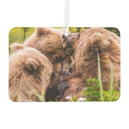 ママは彼女の2つの子供を看護するクラーク湖ナシア カーエアーフレッシュナー (裏面)