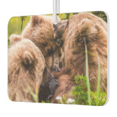 ママは彼女の2つの子供を看護するクラーク湖ナシア カーエアーフレッシュナー (左)