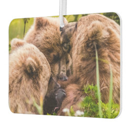 ママは彼女の2つの子供を看護するクラーク湖ナシア カーエアーフレッシュナー