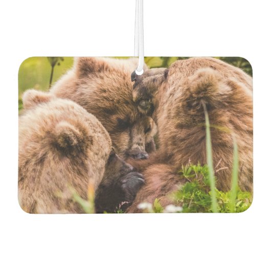 ママは彼女の2つの子供を看護するクラーク湖ナシア カーエアーフレッシュナー (正面)