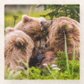 ママは彼女の2つの子供を看護するクラーク湖ナシア ガラスコースター (正面)