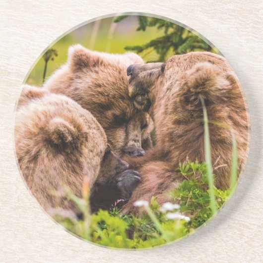 ママは彼女の2つの子供を看護するクラーク湖ナシア コースター (正面)