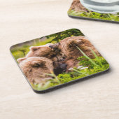 ママは彼女の2つの子供を看護するクラーク湖ナシア コースター (左側)