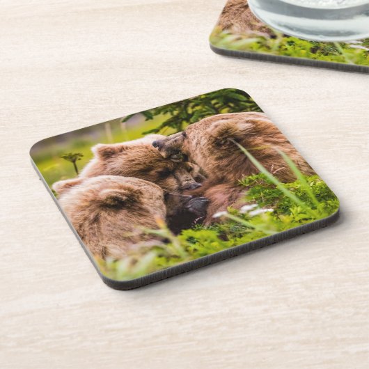 ママは彼女の2つの子供を看護するクラーク湖ナシア コースター (左側)