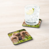 ママは彼女の2つの子供を看護するクラーク湖ナシア コースター (右側)