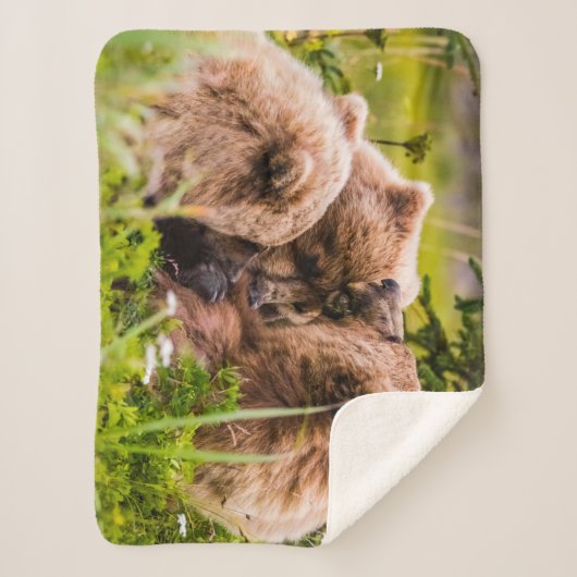 ママは彼女の2つの子供を看護するクラーク湖ナシア シェルパブランケット (正面)