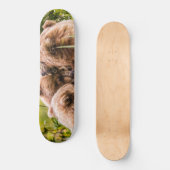 ママは彼女の2つの子供を看護するクラーク湖ナシア スケートボード (正面)