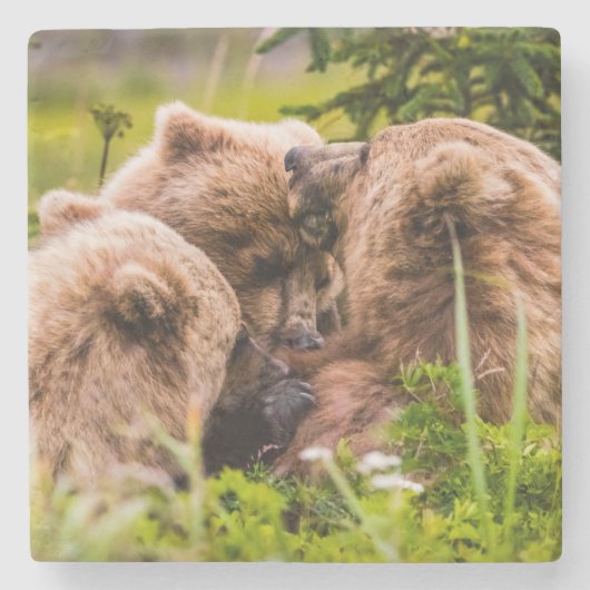 ママは彼女の2つの子供を看護するクラーク湖ナシア ストーンコースター (正面)