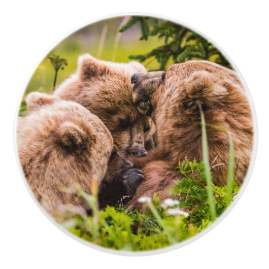 ママは彼女の2つの子供を看護するクラーク湖ナシア セラミックノブ (正面)