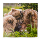 ママは彼女の2つの子供を看護するクラーク湖ナシア タイル (正面)