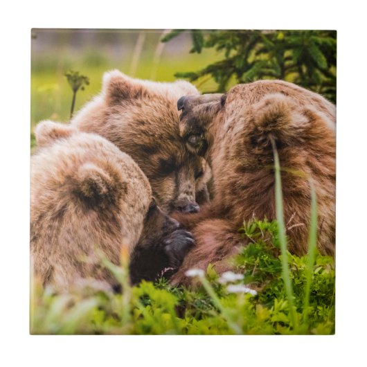 ママは彼女の2つの子供を看護するクラーク湖ナシア タイル (正面)