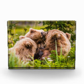 ママは彼女の2つの子供を看護するクラーク湖ナシア フォトブロック (正面)