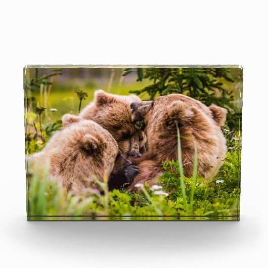 ママは彼女の2つの子供を看護するクラーク湖ナシア フォトブロック (正面)