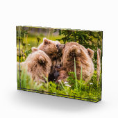 ママは彼女の2つの子供を看護するクラーク湖ナシア フォトブロック (右)