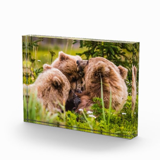 ママは彼女の2つの子供を看護するクラーク湖ナシア フォトブロック (右)