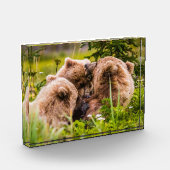 ママは彼女の2つの子供を看護するクラーク湖ナシア フォトブロック (左)