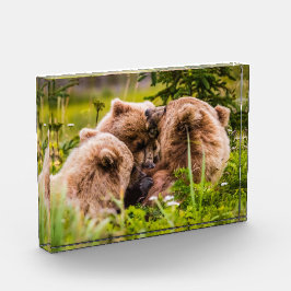 ママは彼女の2つの子供を看護するクラーク湖ナシア フォトブロック