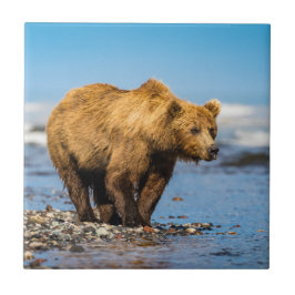 ママは2人の子どもたちを見ている タイル