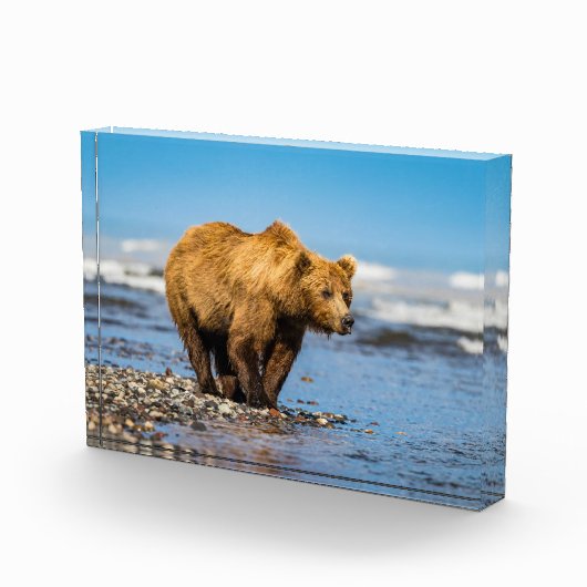 ママは2人の子どもたちを見ている フォトブロック (右)