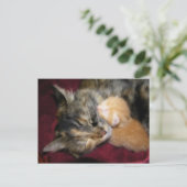 ママを愛する ポストカード (スタンド正面)